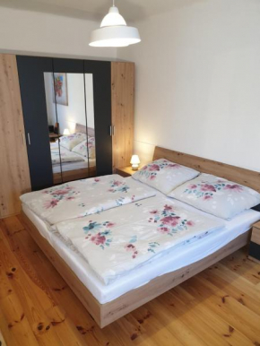 Apartmán CENTRAL, self check in 24 h, free parking